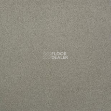 Линолеум Tarkett Bonus Fenix 1 фото 1 | FLOORDEALER